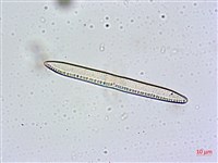 登錄號:A00004631藏品圖，第3張