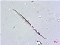 登錄號:A00004631藏品圖，第4張