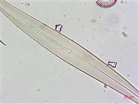 登錄號:A00004631藏品圖，第8張