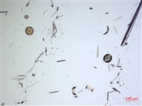 登錄號:A00004632藏品圖，第2張