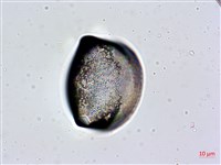 登錄號:A00004632藏品圖，第5張