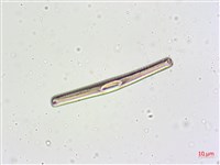登錄號:A00004632藏品圖，第7張