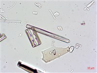 登錄號:A00004632藏品圖，第10張