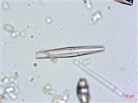 登錄號:A00004633藏品圖，第6張