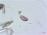 登錄號:A00004633藏品圖，第7張