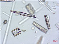 登錄號:A00004633藏品圖，第8張