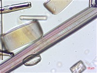 登錄號:A00004633藏品圖，第10張