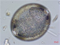登錄號:A00004634藏品圖，第4張
