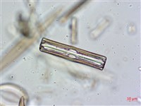 登錄號:A00004634藏品圖，第8張