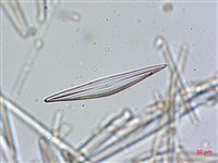 登錄號:A00004636藏品圖，第3張