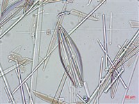 登錄號:A00004636藏品圖，第4張