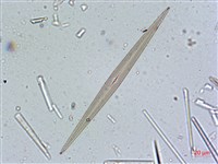 登錄號:A00004636藏品圖，第7張