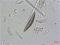 登錄號:A00004637藏品圖，第4張
