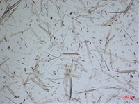 登錄號:A00004638藏品圖，第2張