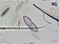 登錄號:A00004638藏品圖，第3張