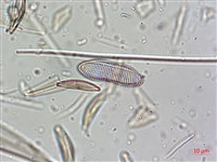 登錄號:A00004638藏品圖，第4張
