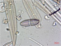登錄號:A00004638藏品圖，第5張