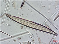 登錄號:A00004638藏品圖，第8張