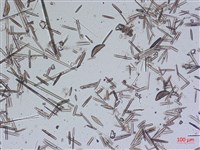 登錄號:A00004639藏品圖，第2張