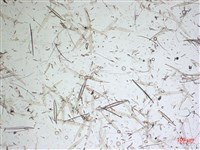 登錄號:A00004640藏品圖，第2張