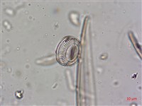 登錄號:A00004640藏品圖，第3張