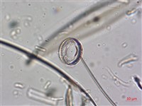 登錄號:A00004640藏品圖，第4張