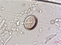 登錄號:A00004640藏品圖，第5張