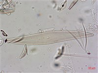 登錄號:A00004640藏品圖，第6張