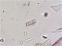 登錄號:A00004640藏品圖，第7張