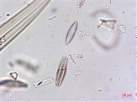 登錄號:A00004640藏品圖，第8張