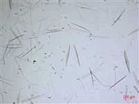 登錄號:A00004641藏品圖，第2張