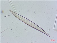 登錄號:A00004641藏品圖，第3張