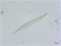 登錄號:A00004641藏品圖，第4張