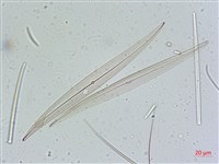 登錄號:A00004641藏品圖，第5張