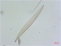 登錄號:A00004641藏品圖，第6張