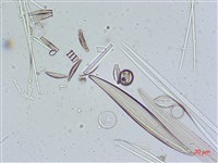 登錄號:A00004641藏品圖，第7張