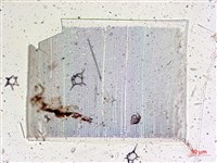館號:A00004642藏品圖，第46張