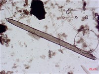 登錄號:A00004643藏品圖，第3張