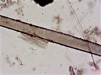 登錄號:A00004643藏品圖，第4張