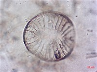 登錄號:A00004644藏品圖，第3張