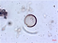 登錄號:A00004644藏品圖，第6張