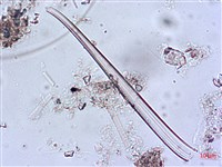 登錄號:A00004644藏品圖，第8張