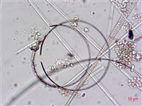 登錄號:A00004645藏品圖，第3張