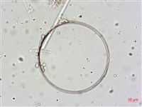 登錄號:A00004645藏品圖，第7張