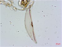 登錄號:A00004646藏品圖，第4張