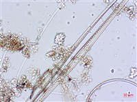 登錄號:A00004646藏品圖，第8張