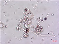 登錄號:A00004647藏品圖，第5張