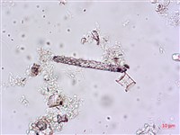 登錄號:A00004647藏品圖，第6張