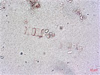 登錄號:A00004649藏品圖，第3張