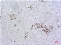 登錄號:A00004649藏品圖，第5張